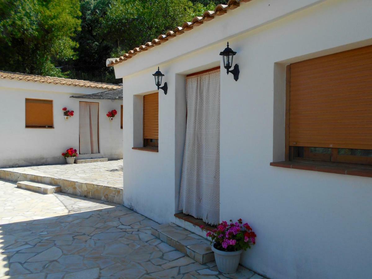 La Casita, Zagra La Carrera de la Viña Exterior foto