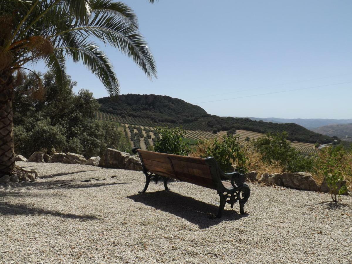 La Casita, Zagra La Carrera de la Viña Exterior foto