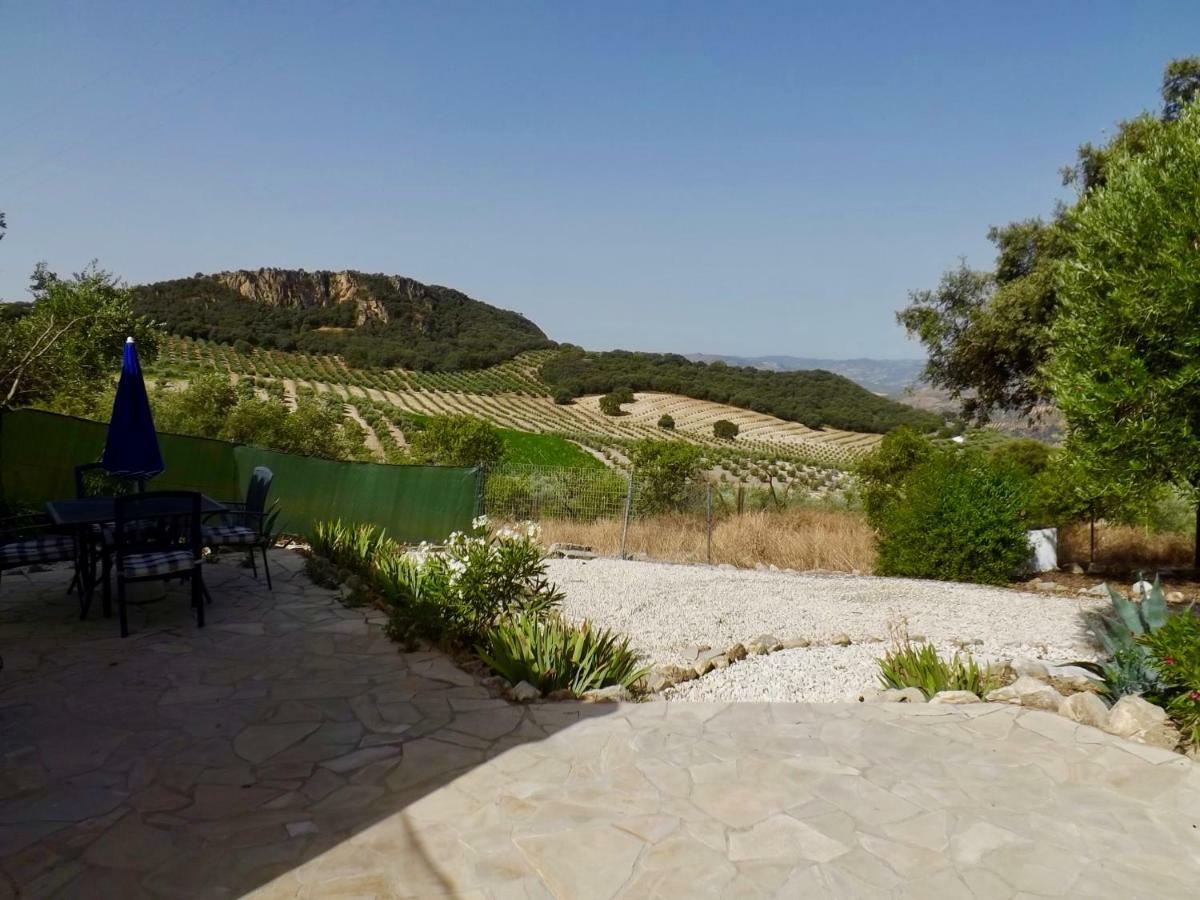 La Casita, Zagra La Carrera de la Viña Exterior foto
