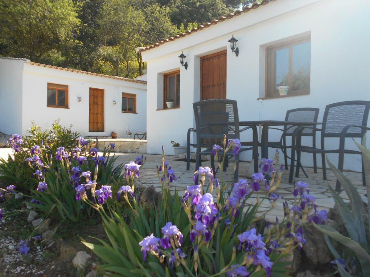 La Casita, Zagra La Carrera de la Viña Exterior foto