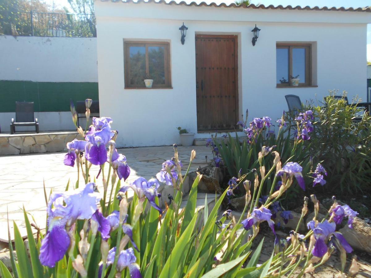 La Casita, Zagra La Carrera de la Viña Exterior foto